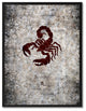 Scorpio Horoscope Astrology Black Print on Canvas with Picture Frame, 22"x29"