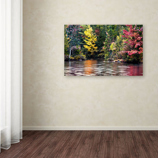 'Adirondacks' Canvas Art by David Ayash