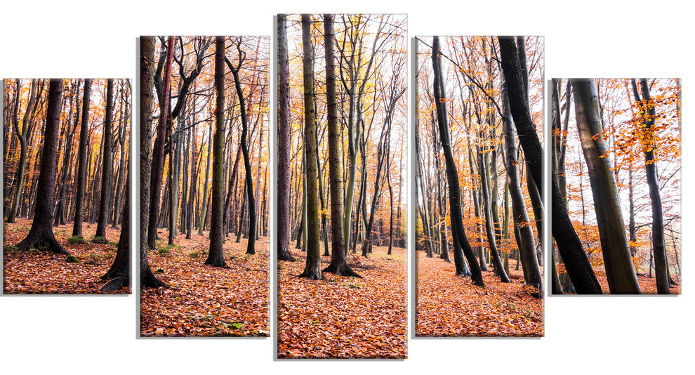 Bright Fall Forest with Clear Sky, Modern Forest Canvas Art, 60"x32", 5 Panels