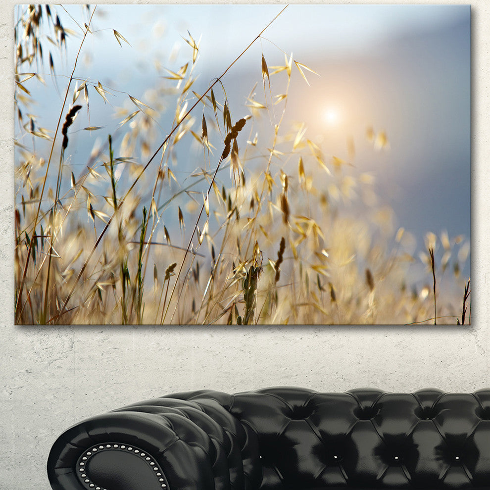 Typical Tuscany Sunset Italy, Landscape Canvas Art Print, 60"x28"