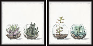 Round Glass Terrarium Diptych, 2-Piece Set, 32x32 Panels