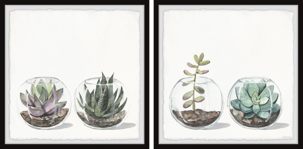 Round Glass Terrarium Diptych, 2-Piece Set, 32x32 Panels