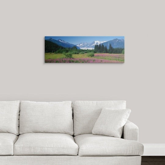 "Fireweed Mendenhall Glacier Juneau AK" Canvas Art, 36"x12"x1.25"