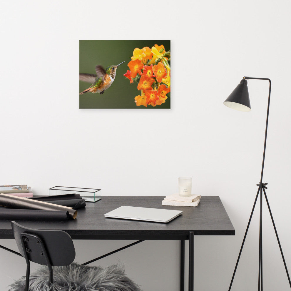 Hummingbird Little Yellow-Orange Flowers Wildlife Photo Canvas Wall Art Prints, 18" X 24"