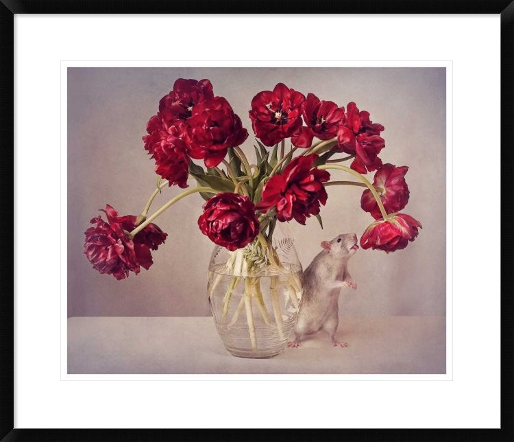 "Still Life With Tulips" Framed Digital Print by Ellen Van Deelen, 30x25"