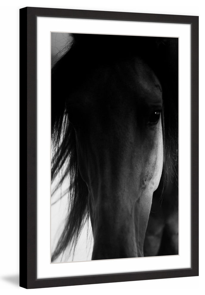"Shadow Horse" Framed Art Print, 61x91 cm