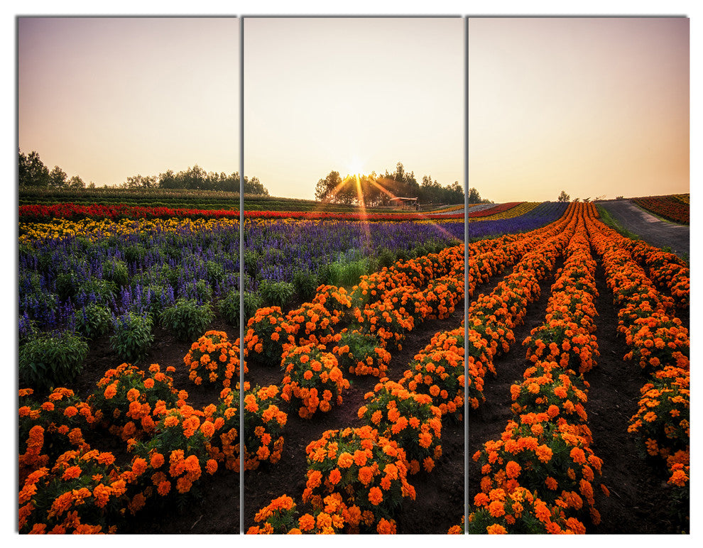 Beautiful Japanese Flower Farm, Floral Triptych Canvas Print, 36x28, 3 Panels