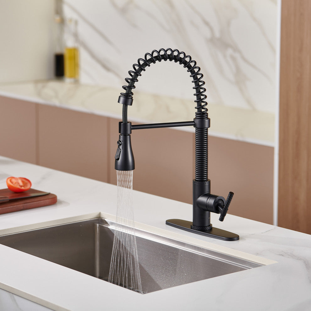 Single Handle Kitchen Sink Faucet Pull-Down Sprayer, 360 Swivel, 3 Functions, Matte Black