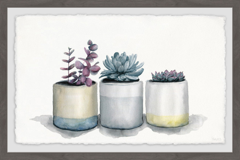 "Three Potted Succulents" Framed Painting Print