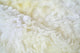 Sheepskin Shag Wool Ivory Area Rug