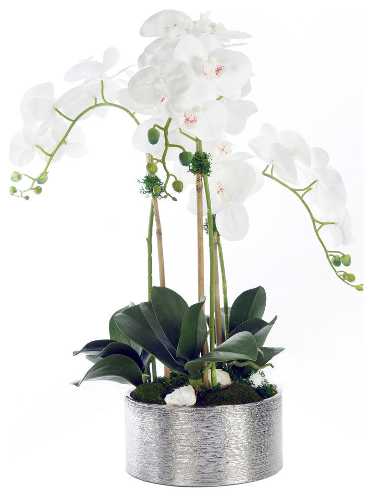 White Phalaenopsis Orchids with Geodes in Round Etched Pot