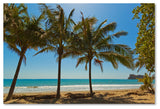 "Palm Trees 2" by Robert Harding Picture Library, Canvas Art, 22"x32"