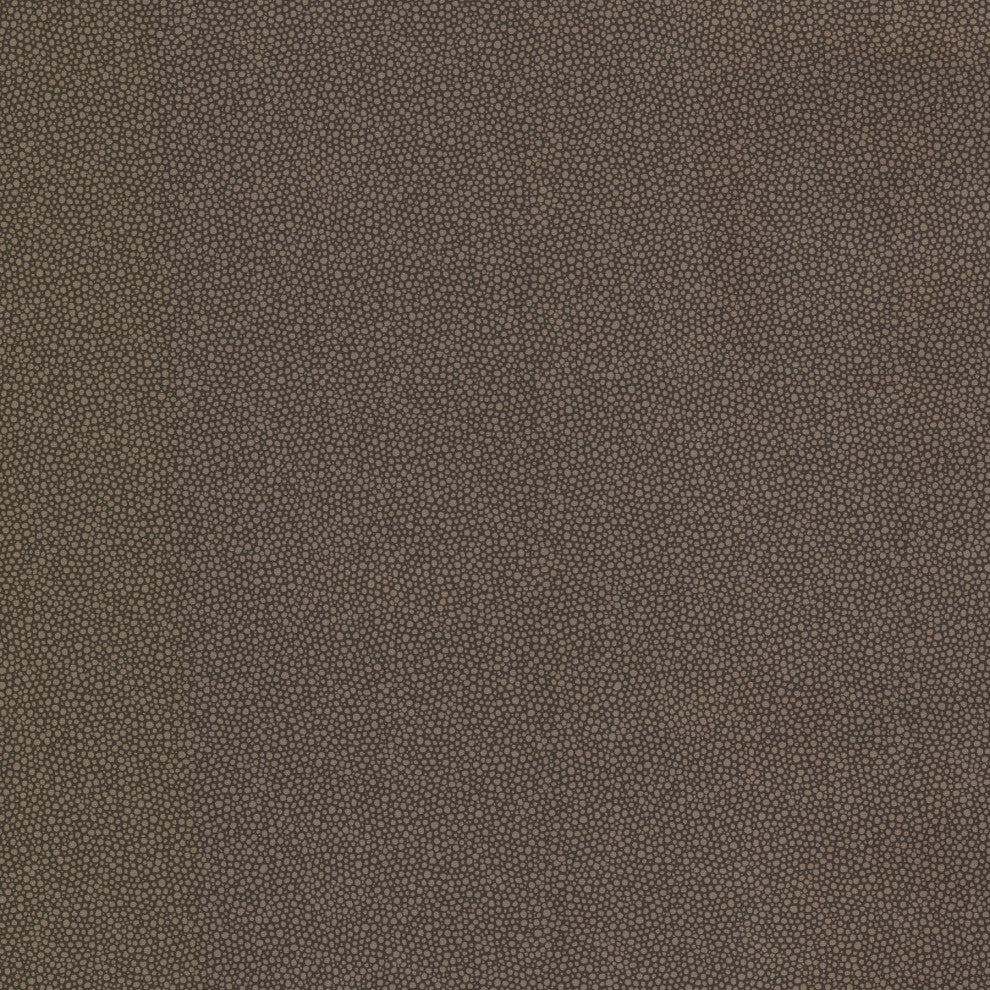 Spore Espresso Bubble Texture Wallpaper