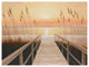 "Walkway to Sea" Digital Paper Print by Diane Romanello, 50"x38"