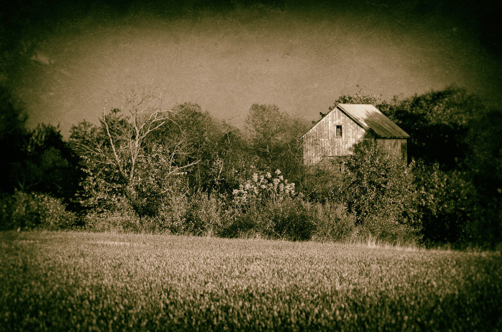 Farmhouse Wall Art: Abandoned Barn Trees Vintage Canvas Print, 18" X 24"