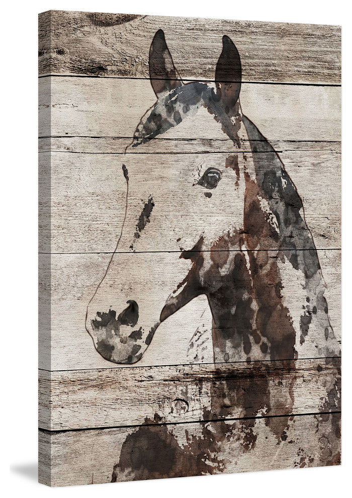 "Picolino Horse" by Irena Orlov Painting Print Wrapped Canvas, 24x36