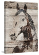 "Picolino Horse" by Irena Orlov Painting Print Wrapped Canvas, 24x36
