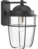 Holcombe Wall Lantern