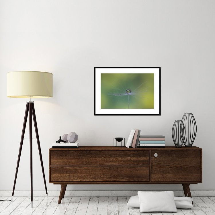 "Magic Bunch" Framed Digital Print by Bertrand Kulik, 38"x28"