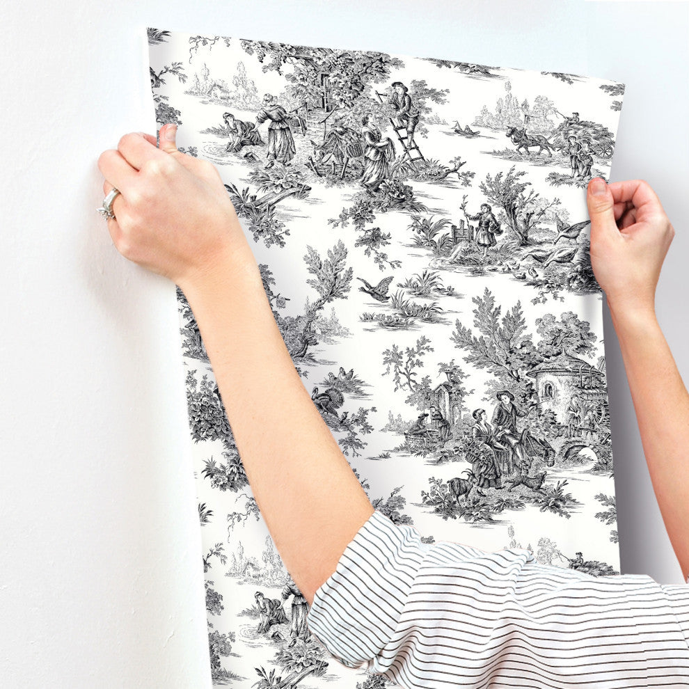 Campagne Toile Black and White Wallpaper