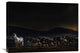 "An Evening In Kenya" Stretched Canvas Giclee by Piet Flour, 30x21"