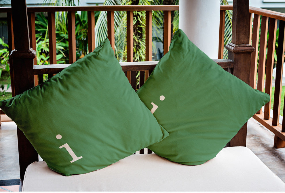 20" x 20" Modern Monogram Indoor/Outdoor Polyester Throw Pillow, Sage
