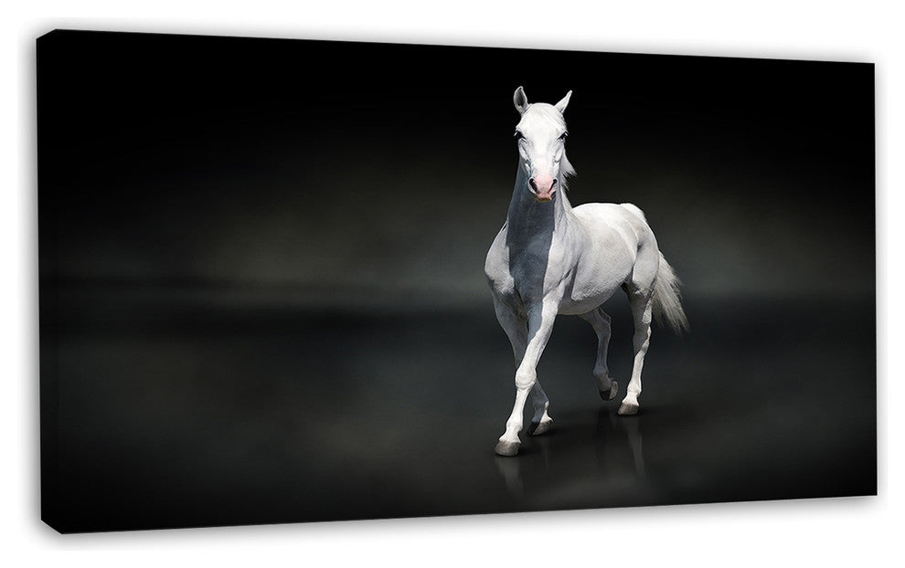 Isolated Black Horse on Black, Animal Canvas Art Print, 32"x16"