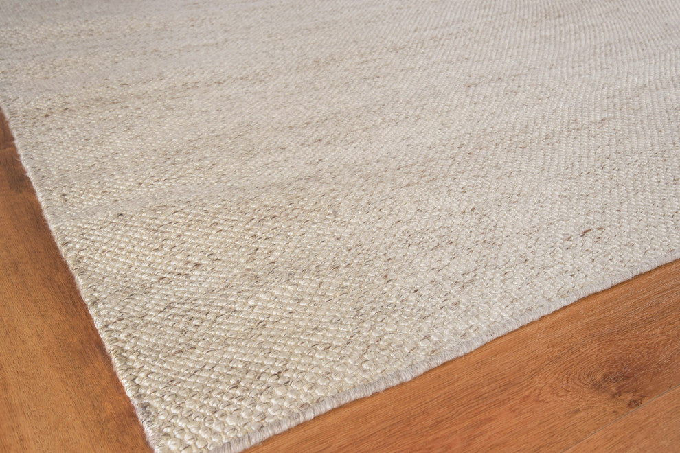 Rhodes Handmade Hand Loomed PET yarn Beige Area Rug, 9'x12'