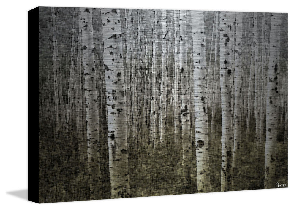 "Aspen Highlands" UV Ink Print on Brushed  Aluminum, 36"x24"