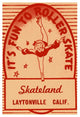 "It's Fun To Roller Skate" Digital Paper Print by Retrorollers, 29"x42"