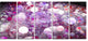 Red Fractal Molecule Pattern, Abstract Wall Art Canvas, 60"x28", 5 Panels