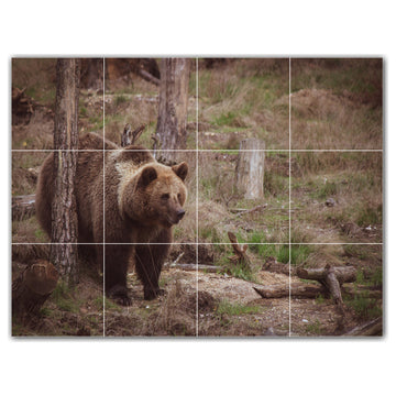 Bear Ceramic Tile Wall Mural HZ500130-43M. 24" x 18"