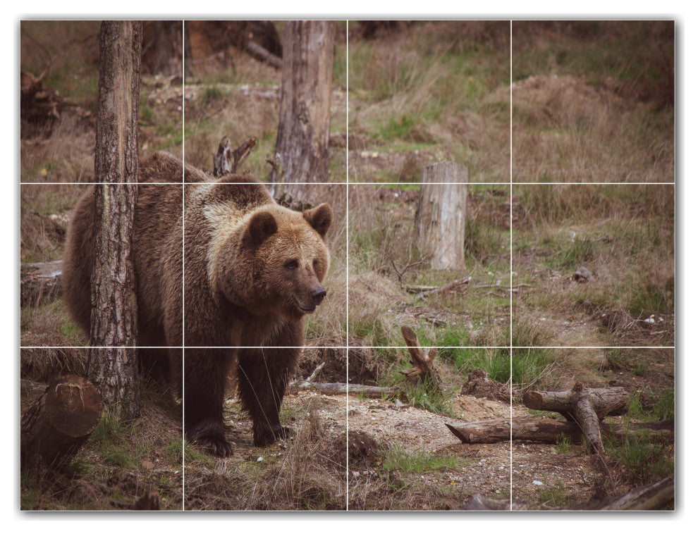 Bear Ceramic Tile Wall Mural HZ500130-43M. 24" x 18"