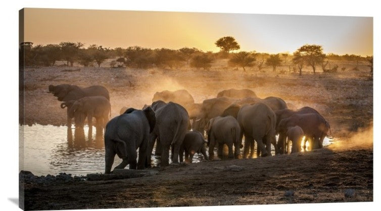 "Elephant Huddle" Stretched Canvas Giclee by Simon Van Ooijen, 36x21"