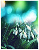 Little White Flowers on Green, Landscape Wall Art on Canvas, 28x36, 3 Panels