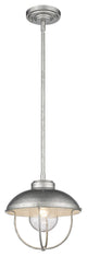 Z-LITE 590P-GV 1 Light Outdoor Pendant, Galvanized
