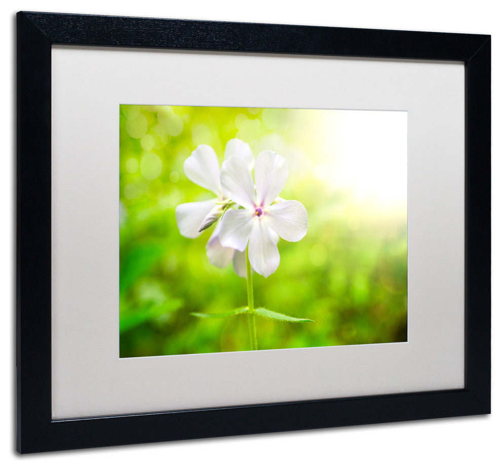 PIPA Fine Art 'Beauty of the Forest Floor' Matted Framed Art, 20x16