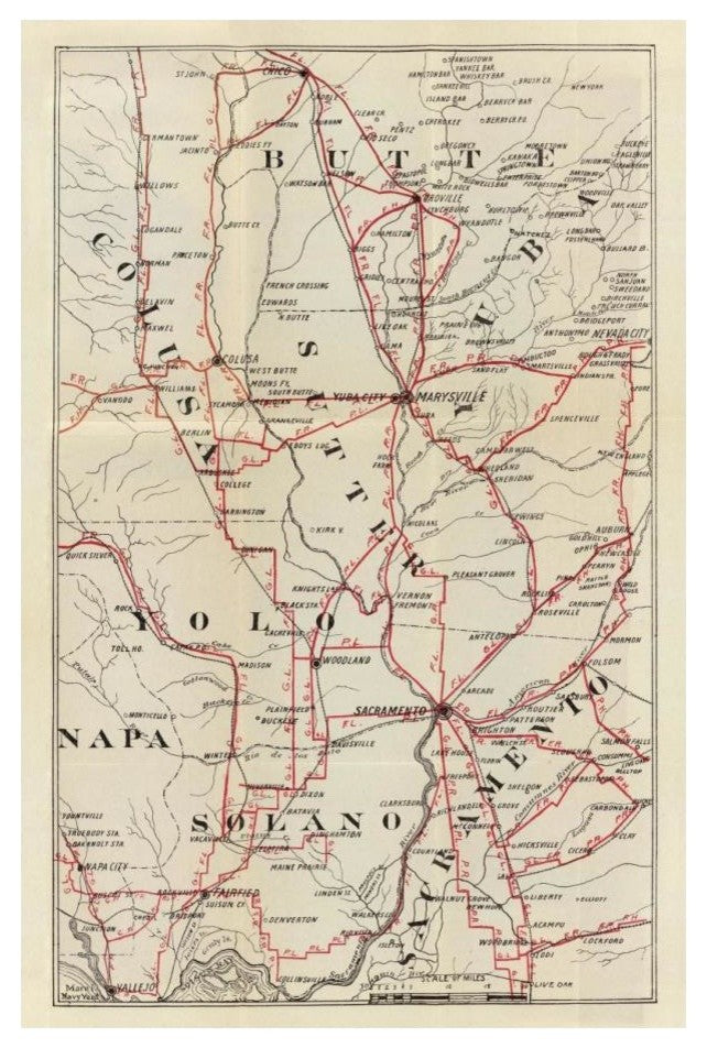 "Colusa, Yolo, Napa, Butte, Yuba, Sutter" Paper Art, 16"x24"
