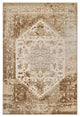 Rosina Distressed Persian Medallion 5x8 Area Rug