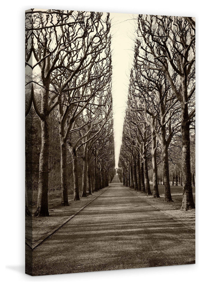 "Tree Alley" Painting Print on Wrapped Canvas