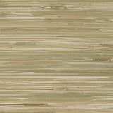 Decorator, Grasscloth Texture Wallpaper Cream Roll