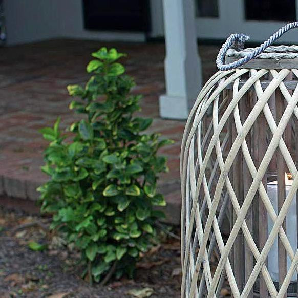 Grey Willow Lantern with Glass - Large