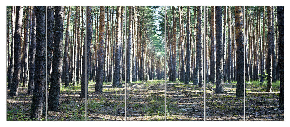Forest Road in Thick Woods, Modern Forest Canvas Art, 83"x32", 7 Panels