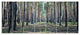 Forest Road in Thick Woods, Modern Forest Canvas Art, 83"x32", 7 Panels