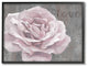 Stupell Industries Love Pink Flower Grey Neutral Painting, 16 x 20
