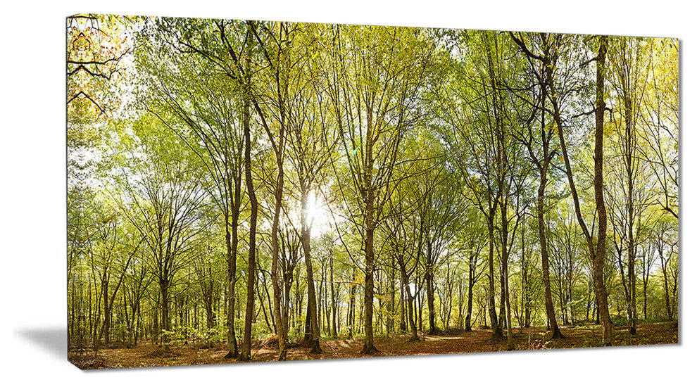 "Green Forest Panoramic View" Canvas Print