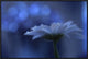 "Space Dreams" Framed Canvas Giclee by Juliana Nan, 31x21"
