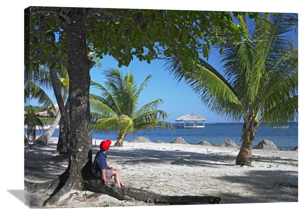 "Tourist Resting At Palmetto Bay, Roatan Island, Honduras" Artwork