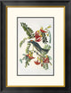 "Gray Tyrant" Framed Digital Print by John James Audubon, 20"x26"