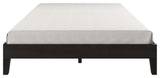 Nix Queen Platform Bed, Black
